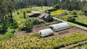 vivienda en rianxo