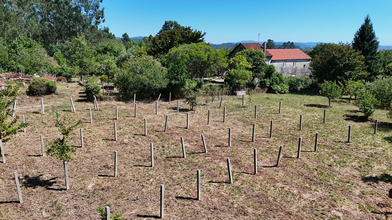 m_DJI_20250729165503_0058_D