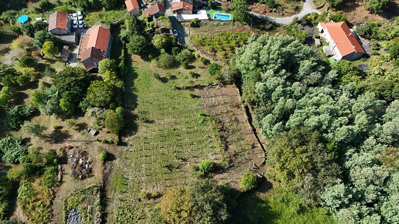 m_DJI_20250905114442_0014_D