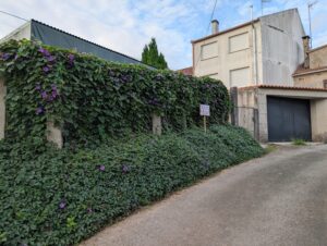 vivienda en rianxo