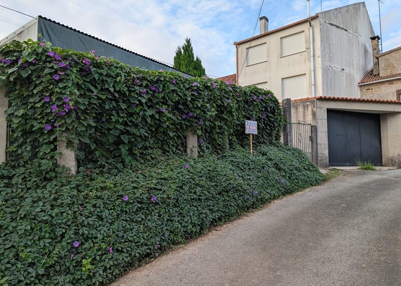 m_Imagen de WhatsApp 2025-08-28 a las 20.49.22_0f9ce7d8