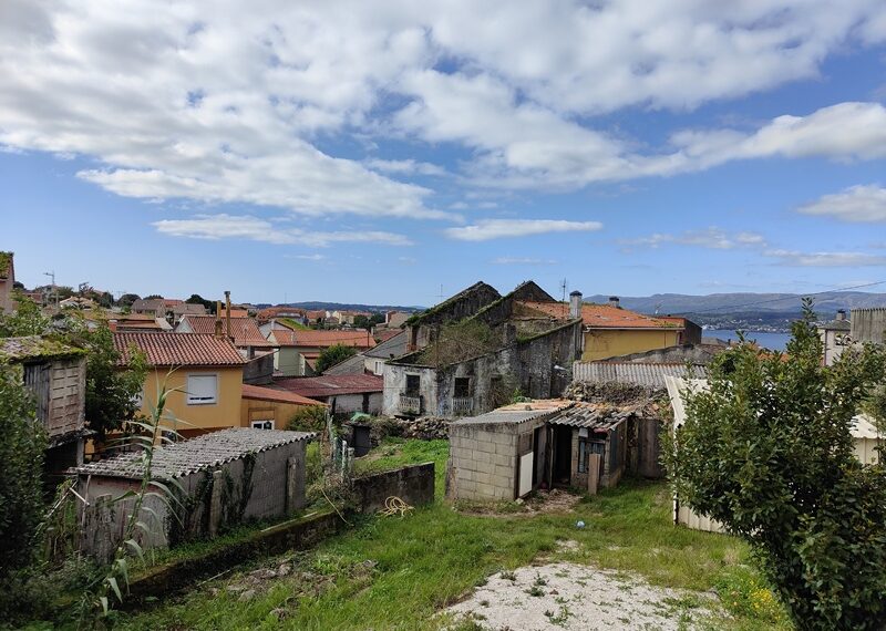 m_IMG20251009125353