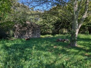 vivienda en rianxo