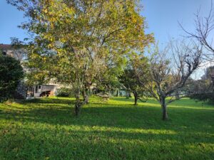 vivienda en rianxo