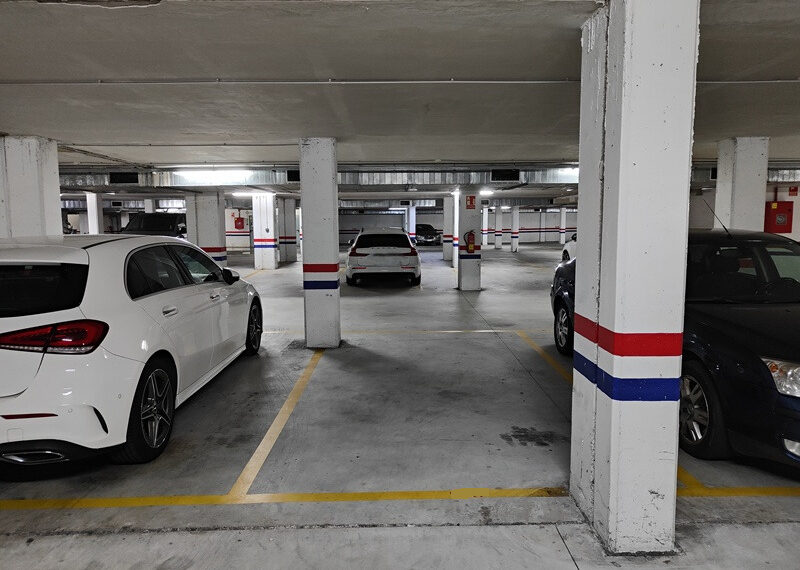 m_IMG20260116113229-Photoroom