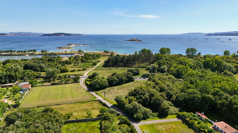m_DJI_20260611172702_0029_D